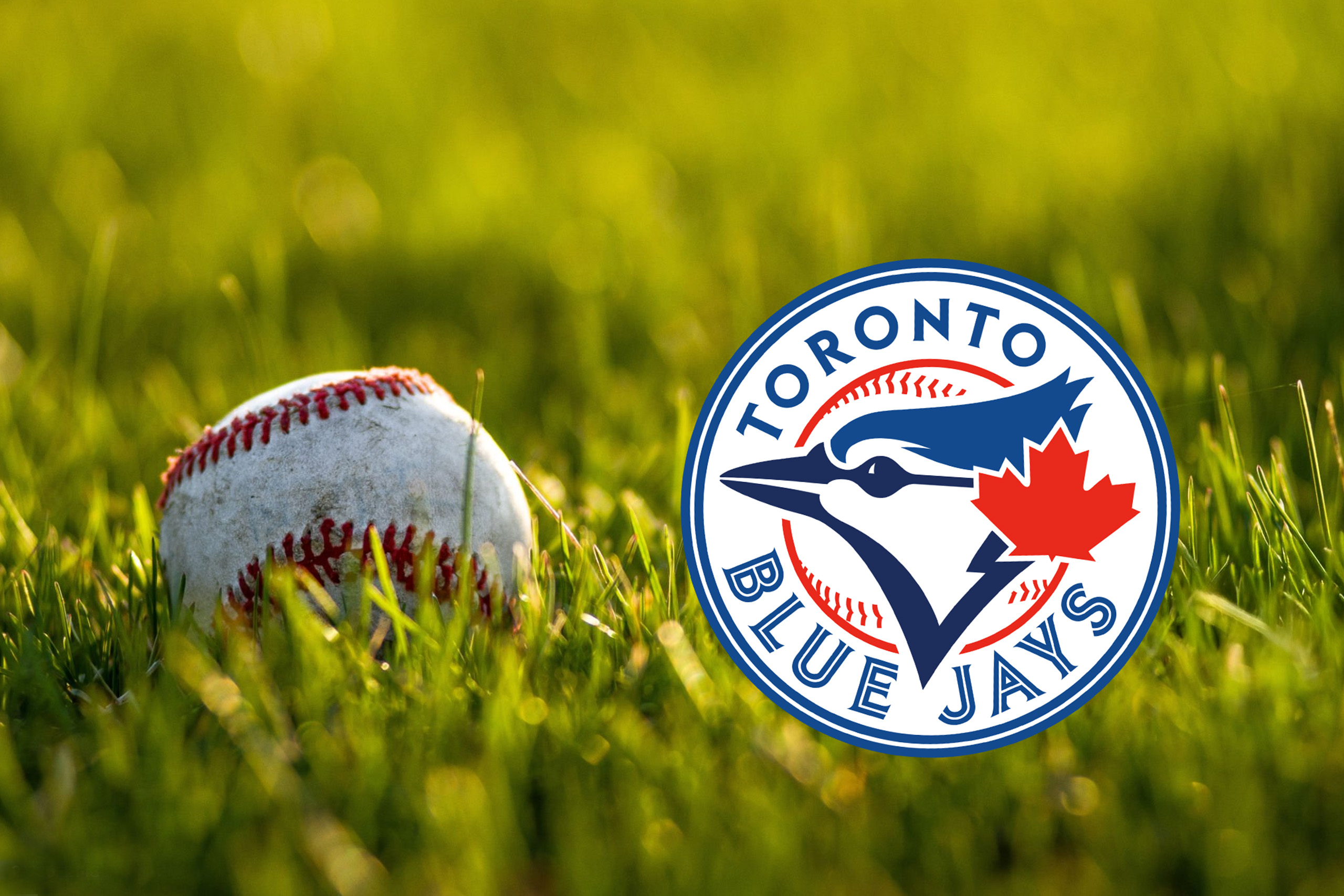 Baseball with Blue Jays Logo