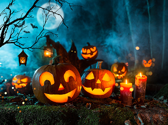 Pumpkins at night with full moon and bats