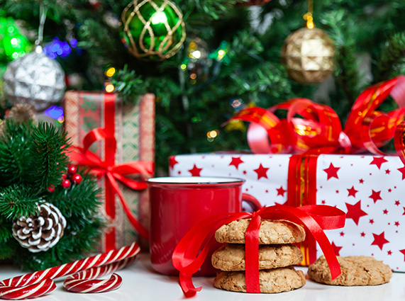 Gifts and treats under a Christmas tree