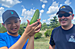 Young adult holding freshly harvested cucumber